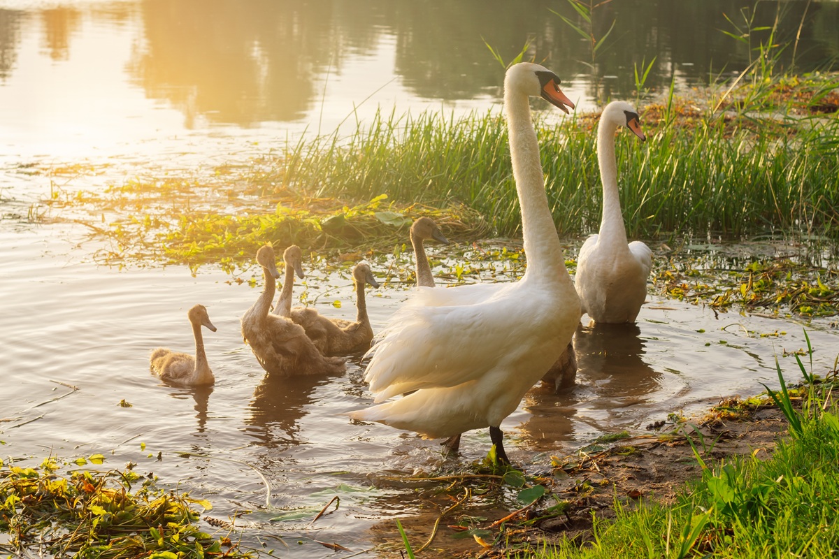 relationships and family